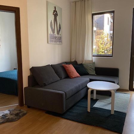 2 Bedroom Apartment Next To Gondola Ski Lift Bansko Exterior foto